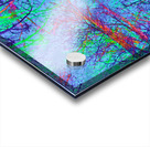 Neural Network Nature Acrylic print
