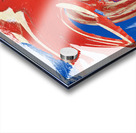 Camouflaged Emotions Acrylic print