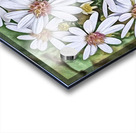 Harmony in Duality Acrylic print