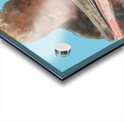The Quiet Observer Acrylic print