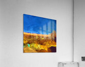 Evening Alight Acrylic Print