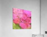 Summer s Kiss Acrylic Print