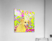Bloom Companion Acrylic Print
