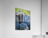 Fragile Strength Acrylic Print