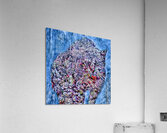 The Wild Within Acrylic Print