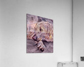 Heartstrings Unbroken Acrylic Print