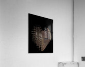 She Is Not Finished Acrylic Print