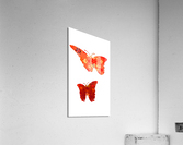 Flowering Butterflies Acrylic Print