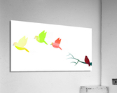 Birds Migration Acrylic Print