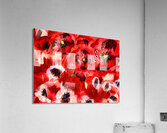 Ephemeral Blooms:  Acrylic Print