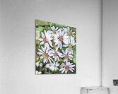 Harmony in Duality Acrylic Print