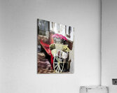 Charming Blooms Acrylic Print