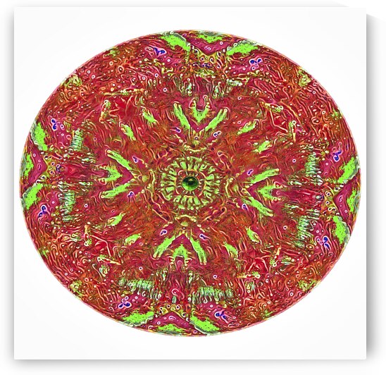 The Eye of Awareness by Le Boulanger