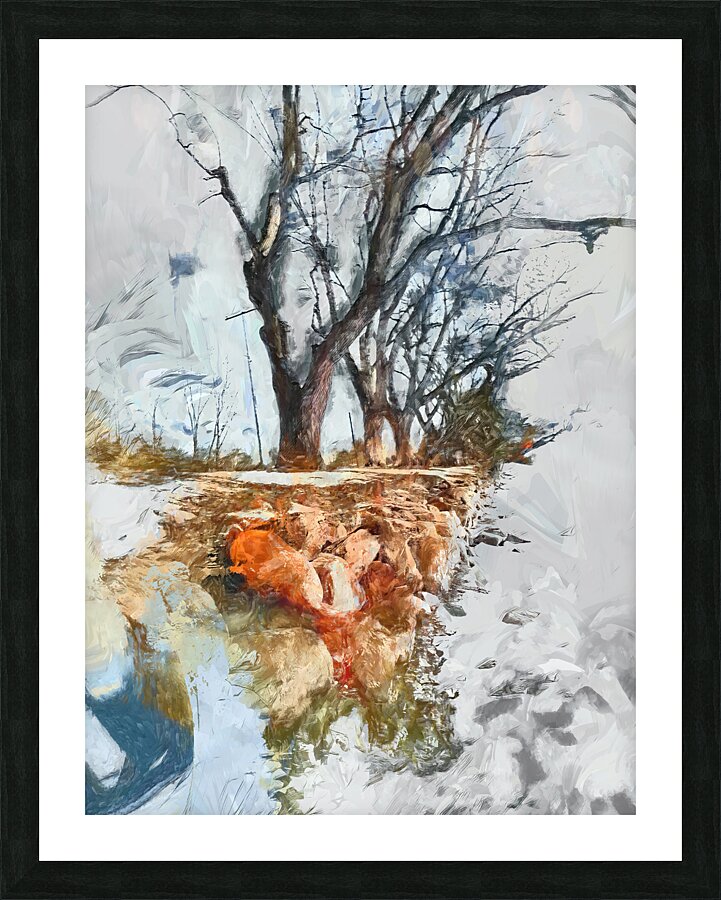 Dormant Beauty Picture Frame print