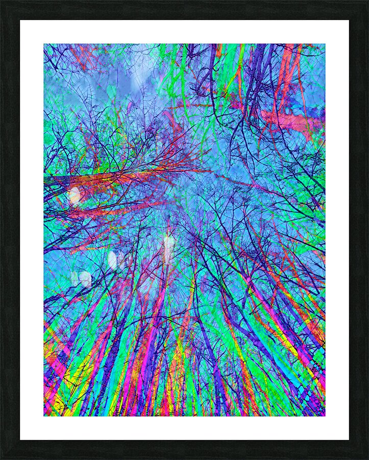 Neural Network Nature Picture Frame Printing