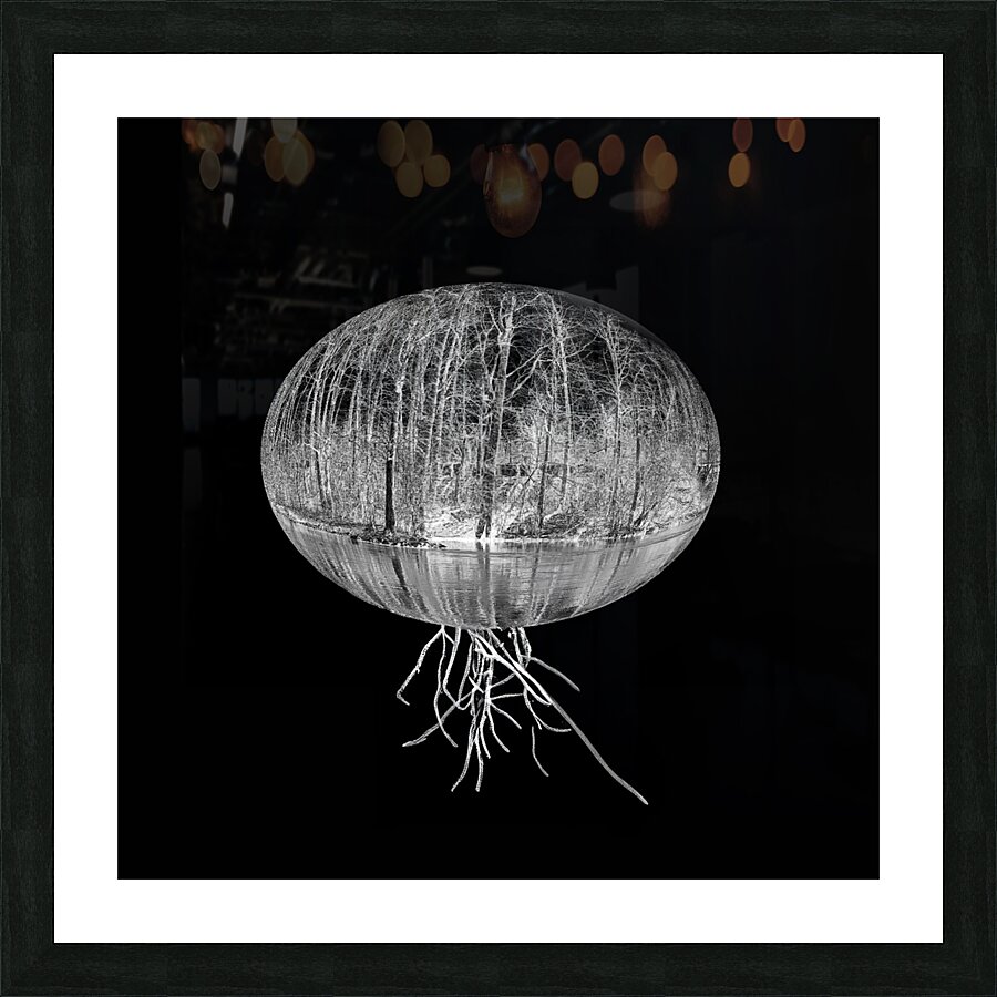Entangled Existence Cadre photo