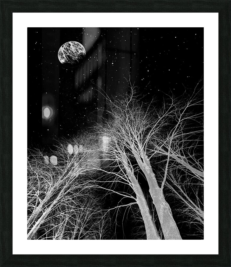 Bright on Black Picture Frame Printing