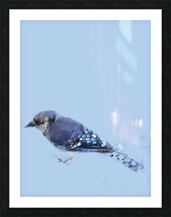 Morning Visitor Picture Frame Printing
