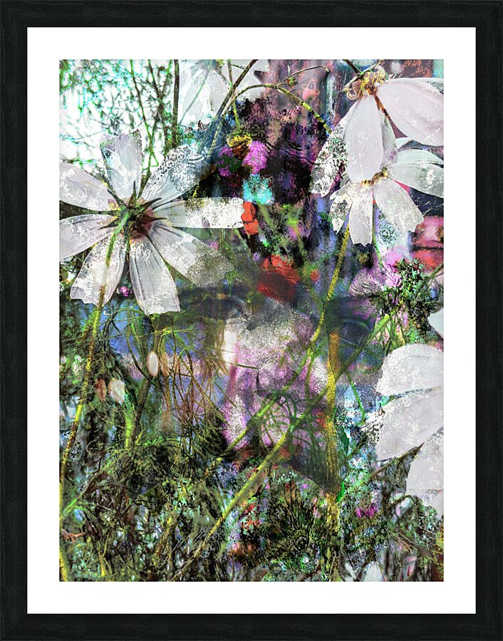 Shy in Bloom Picture Frame Printing