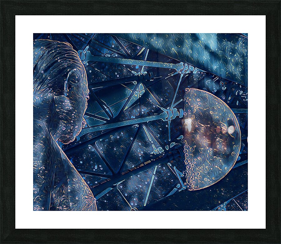 The Watcher s Moon  Picture Frame print
