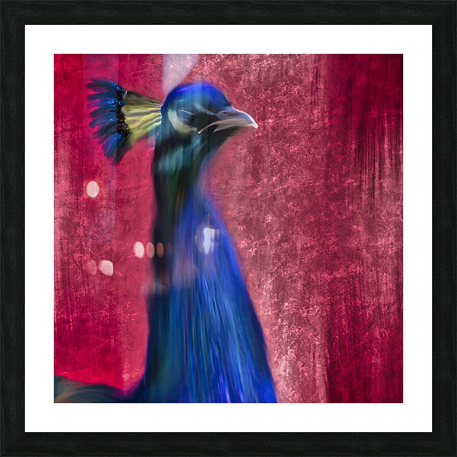 Feathers and Fire Picture Frame print