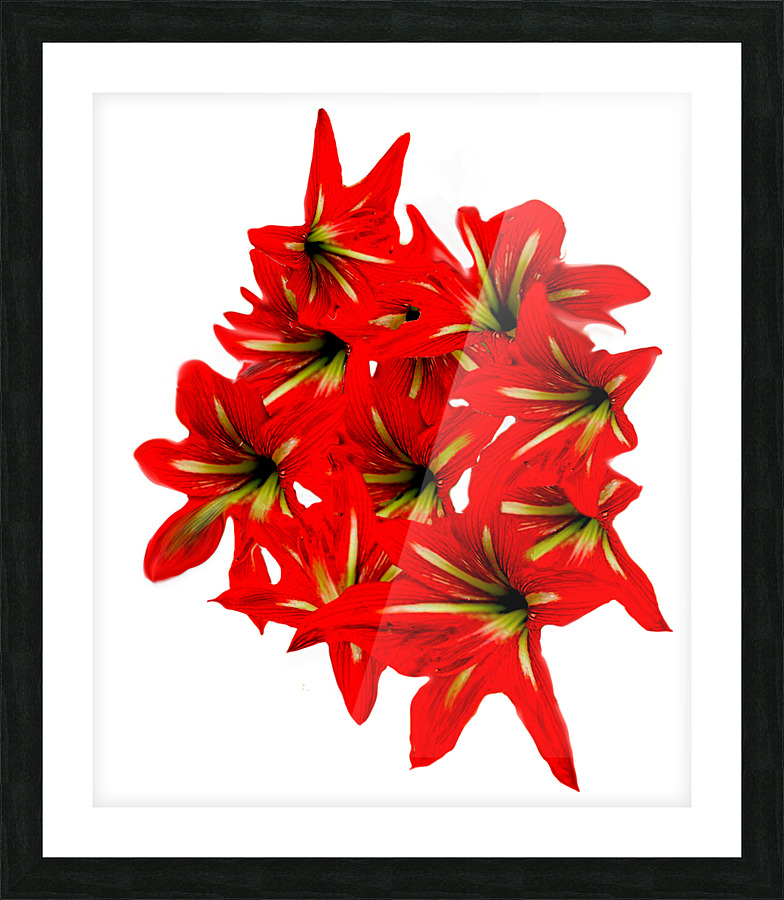 Bouquet Picture Frame print