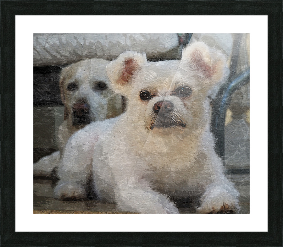 Amitie Picture Frame print