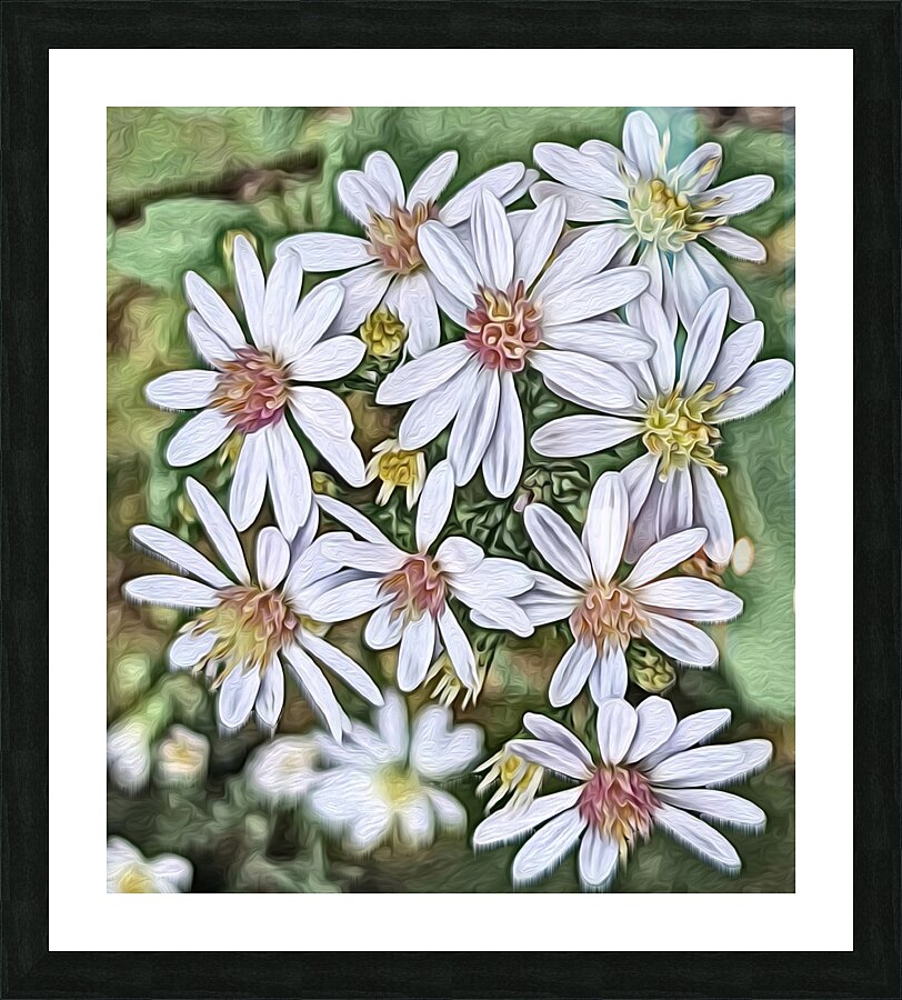 Harmony in Duality Picture Frame print