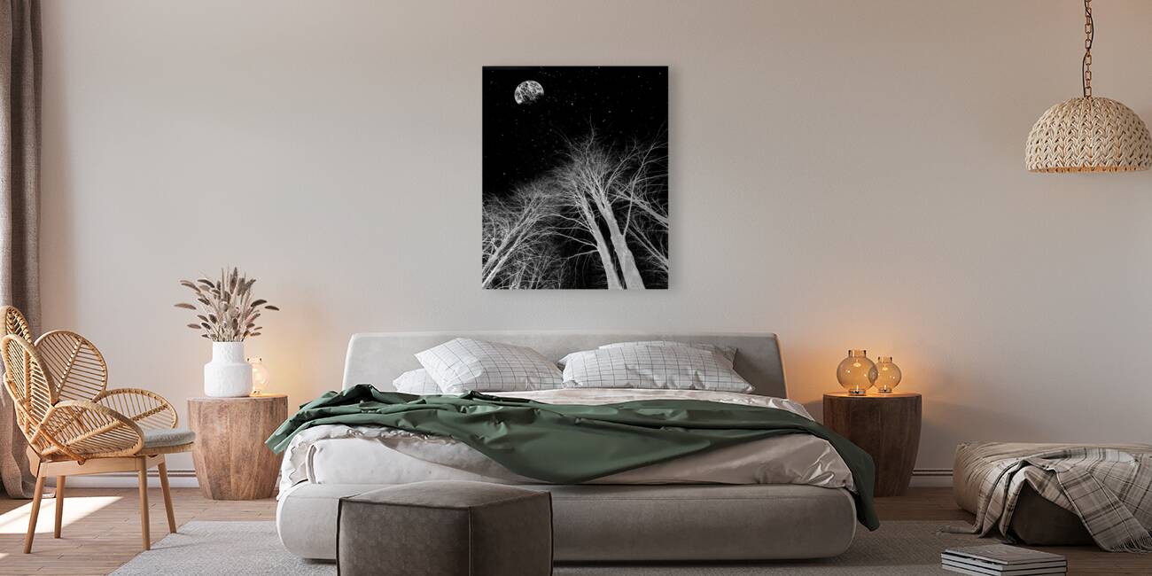 Bright on Black Reproduction