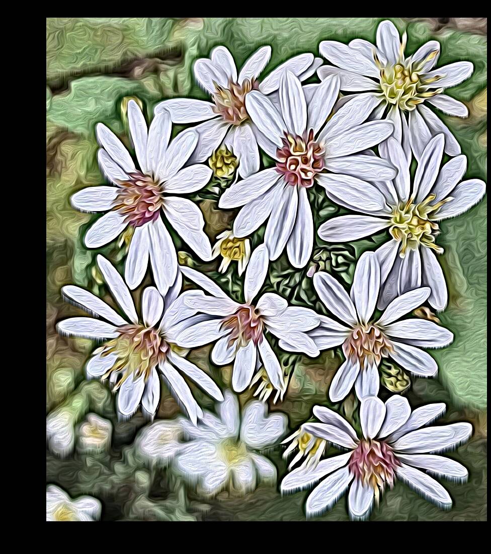 Harmony in Duality Reproduction