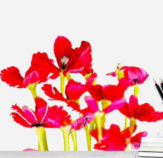 My secret garden flowers by Le Boulanger