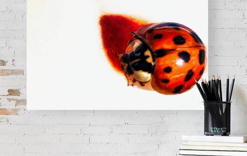 Minimalist Ladybug Artwork: A Study in Contrast and Solitude by Le Boulanger