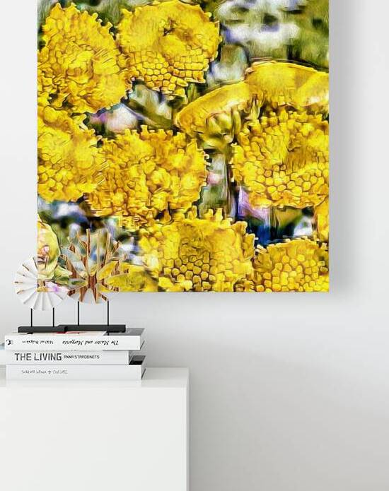 Yellow Tansy by Le Boulanger