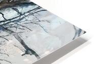 Dormant Beauty HD Metal print