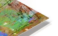 Beyond the Frame HD Metal print