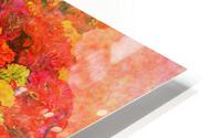 Marche Aux Fleurs HD Metal print
