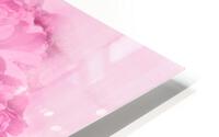 Early blooming HD Metal print