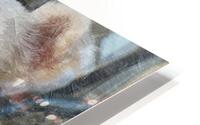 Amitie HD Metal print