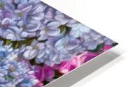 Ethereal Blooms HD Metal print
