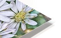 Harmony in Duality HD Metal print