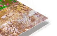 Stone and Petals HD Metal print
