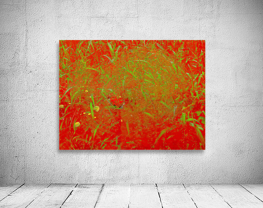 Red Wall Preview