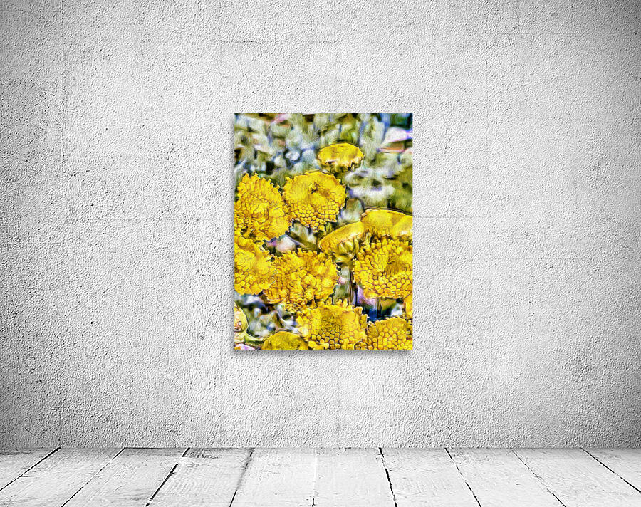 Yellow Tansy Wall Preview