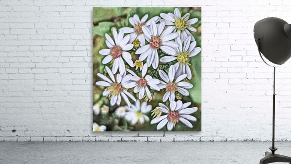 Harmony in Duality Wall Preview
