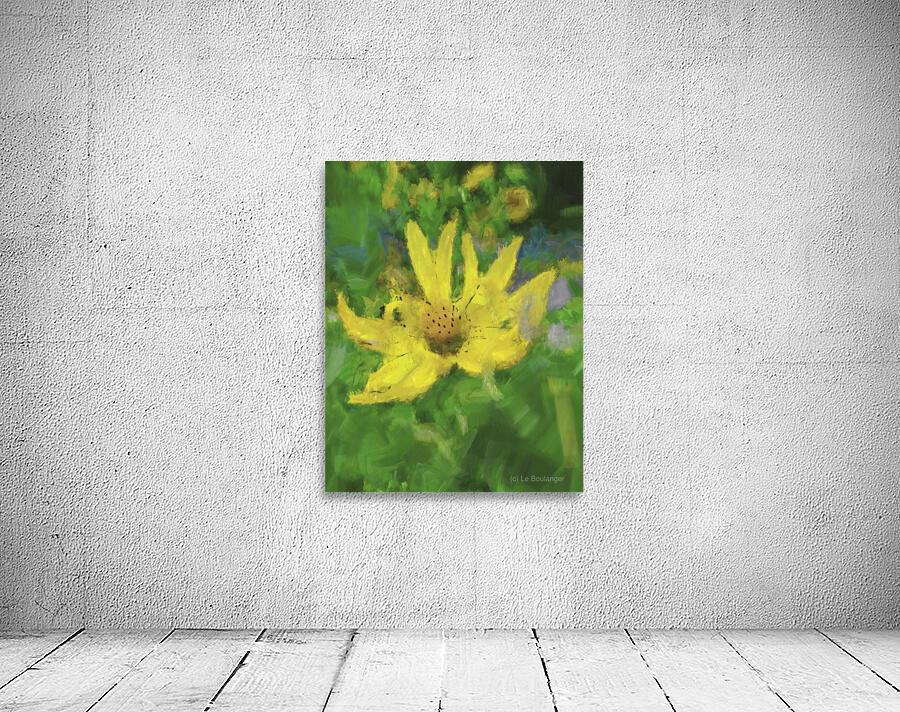 Vibrance Unfolding Wall Preview