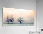 Nature winter landscape Acrylic Print