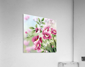 Beautiful flowers  Acrylic Print