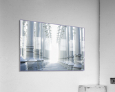 Very nice Columns  Acrylic Print