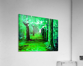 Beautiful art Acrylic Print
