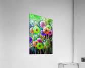 Dandelion flower art Acrylic Print